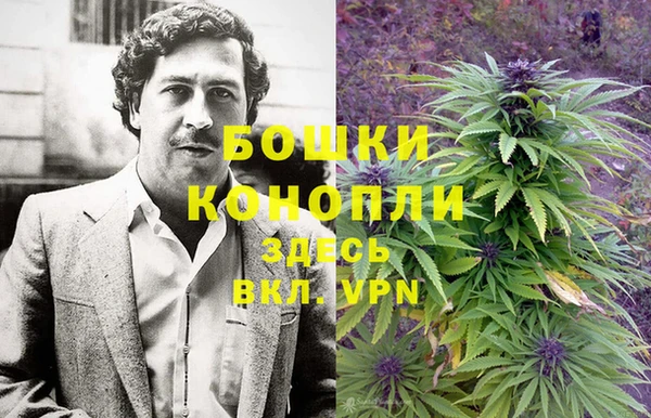 круглые Белокуриха